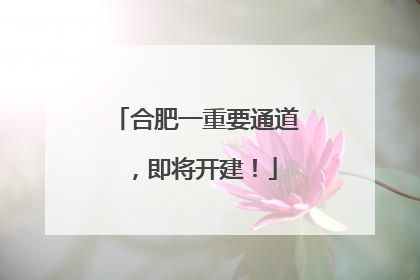 合肥一重要通道，即将开建！
